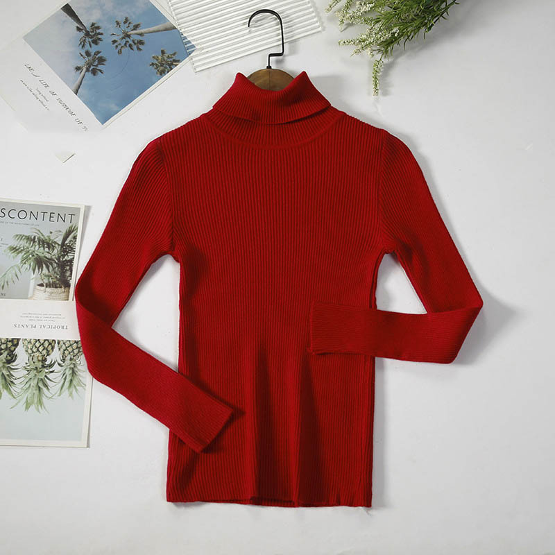 Winter Women Casual Basic Solid Color Knitted Turtle Neck Long Sleeves Sweater