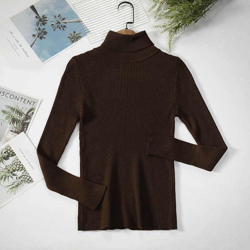 Winter Women Casual Basic Solid Color Knitted Turtle Neck Long Sleeves Sweater