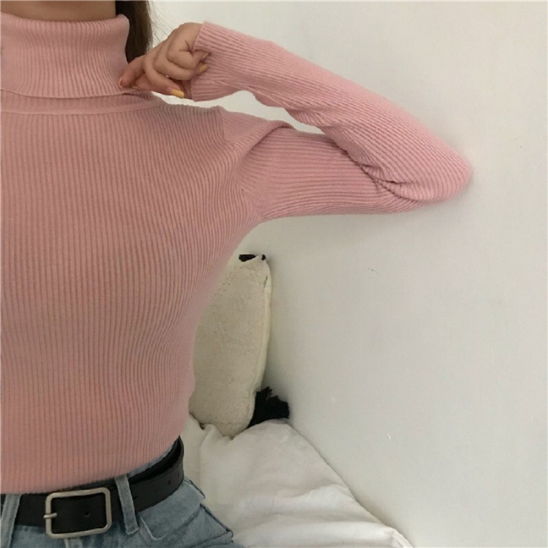 Autumn Winter Women Casual Solid Color Turtleneck Long Sleeve Knitted Sweater